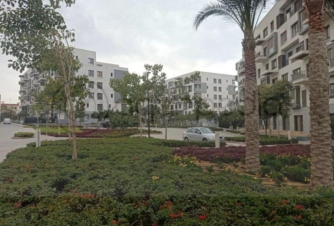 64142076 - صورة العقار 3