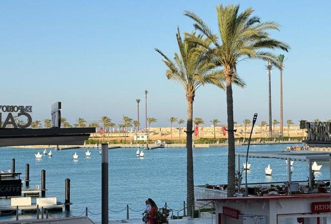 70365632 - Property Image 2