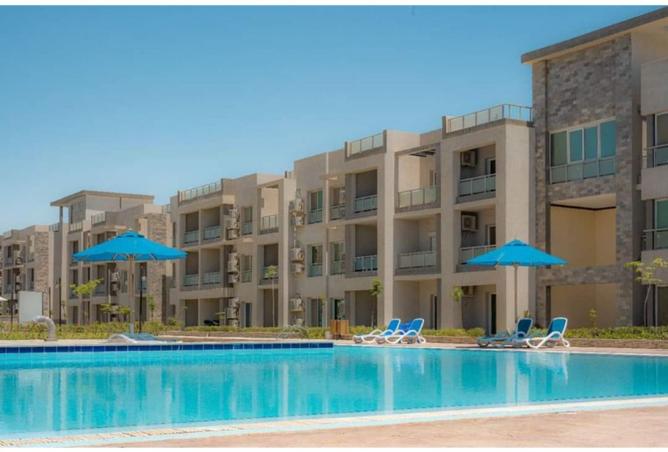 8420825 - Property Image 3