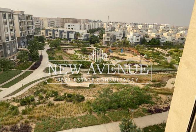 53218069 - Property Image 3