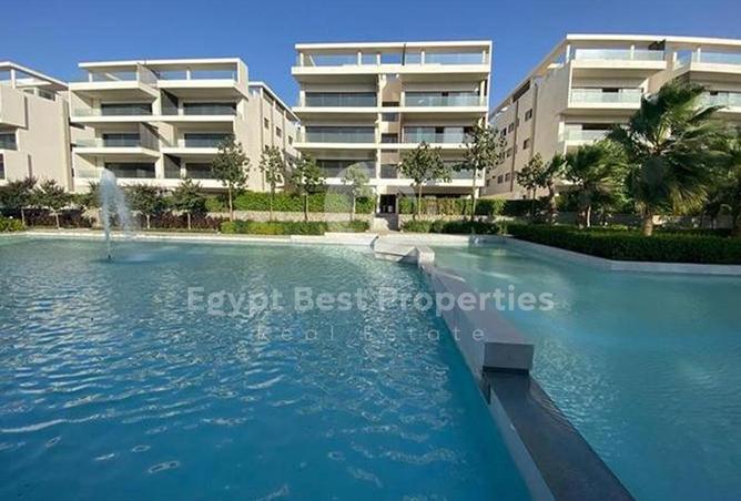 56240511 - Property Image 3