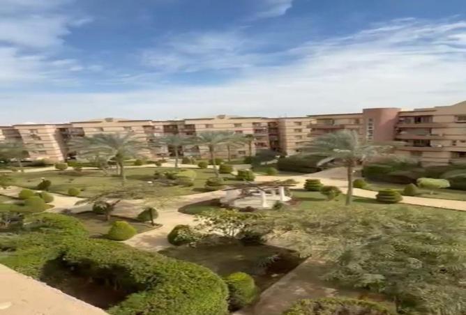 67472046 - صورة العقار 2