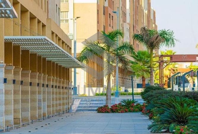 8710314 - صورة العقار 3