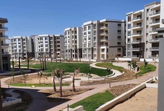 53728684 - Property Image 3