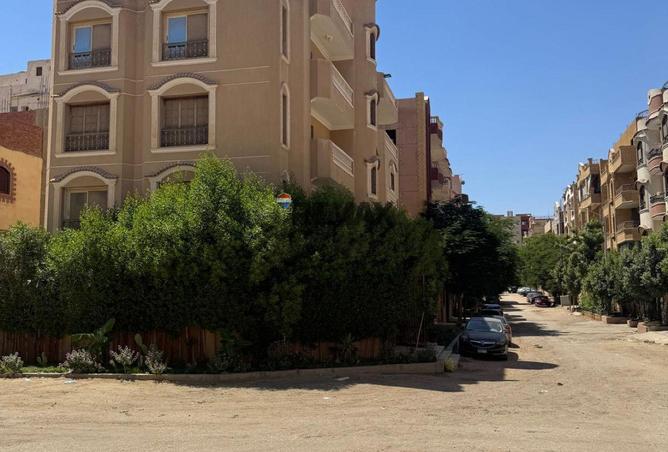 74313780 - صورة العقار 2