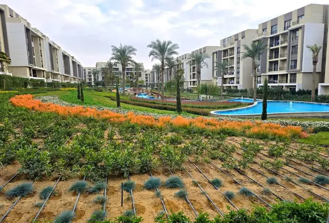 98831968 - Property Image 3