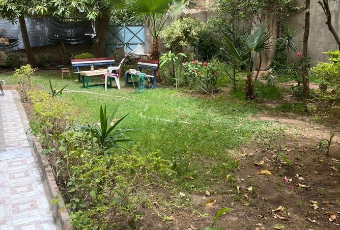 74580625 - Property Image 3