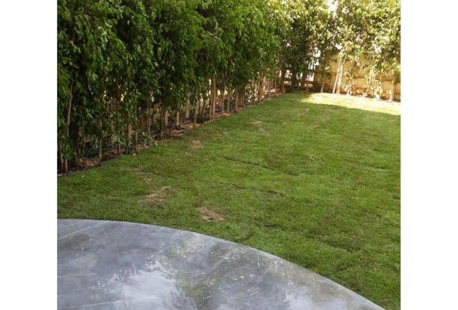 88405311 - صورة العقار 3