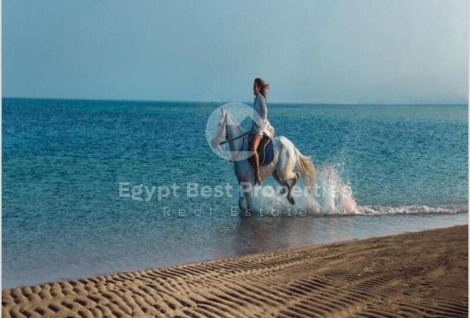 59737577 - الصورة الرئيسية للعقار