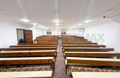 Office Space - Studio - 3 Bathrooms for rent in San Stefano - Hay Sharq - Alexandria