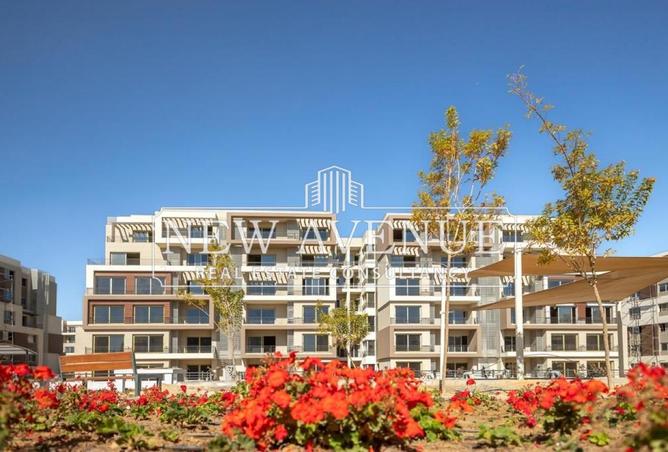 59243823 - Property Image 2