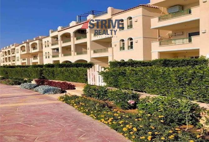 55502911 - Property Main Image