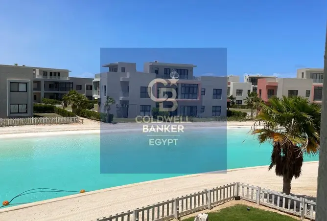 117274367 - صورة العقار 3