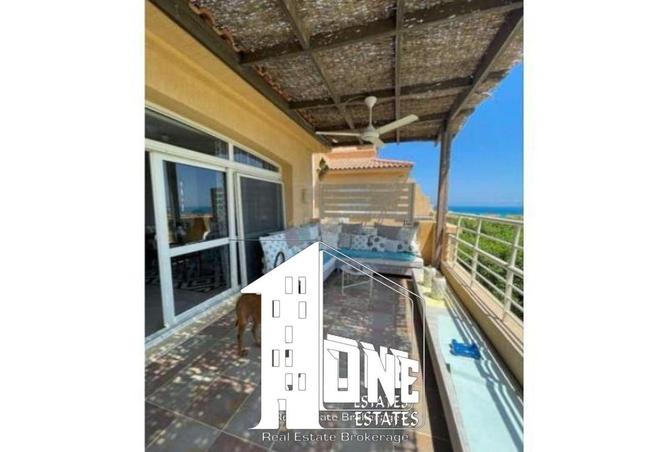 8577641 - Property Image 3