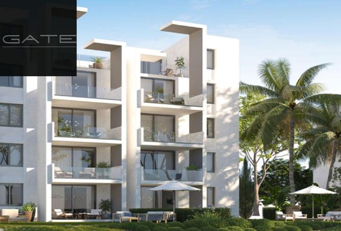 52446634 - Property Image 3