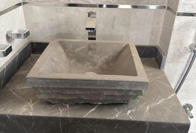 66424716 - صورة العقار 2