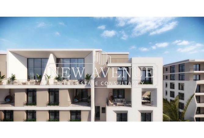 58497264 - Property Image 3