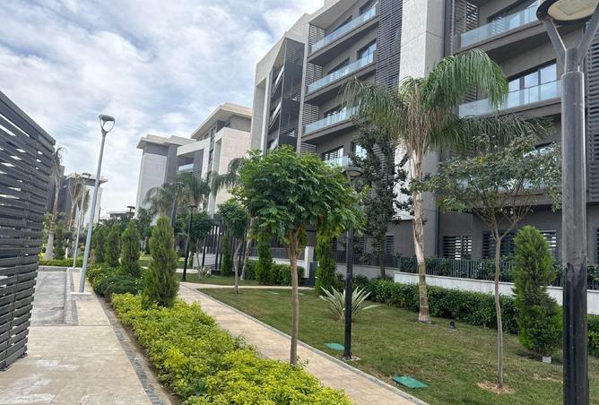 8576497 - صورة العقار 3