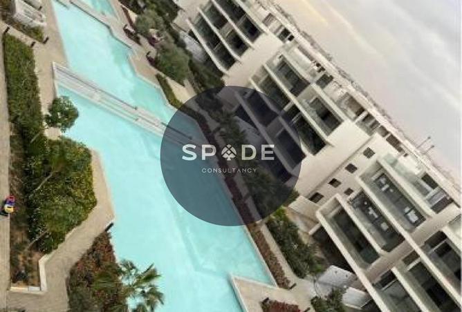 56251269 - Property Image 2