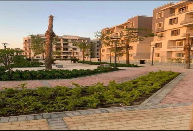 58246568 - صورة العقار 3