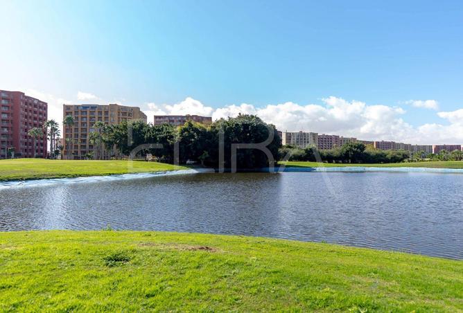 89556701 - Property Image 3
