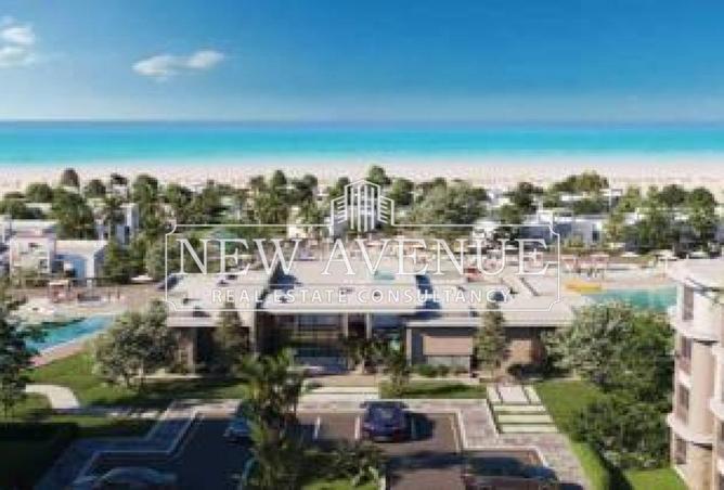 66175242 - صورة العقار 2