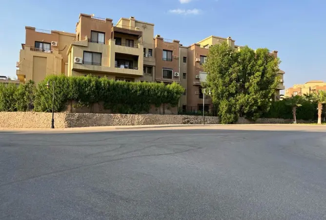 117537016 - Property Image 2