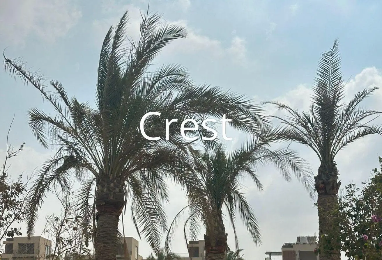 121400537 - الصورة الرئيسية للعقار