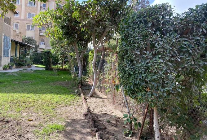 8409414 - صورة العقار 3