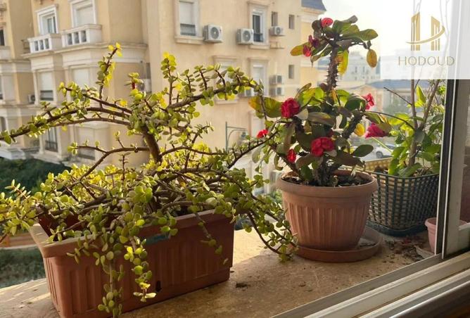 8617672 - صورة العقار 3