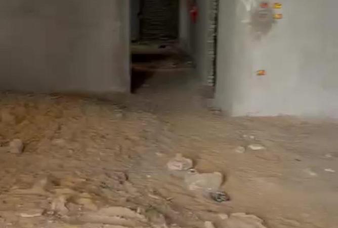 66166748 - صورة العقار 3