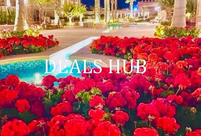 66170793 - صورة العقار 3