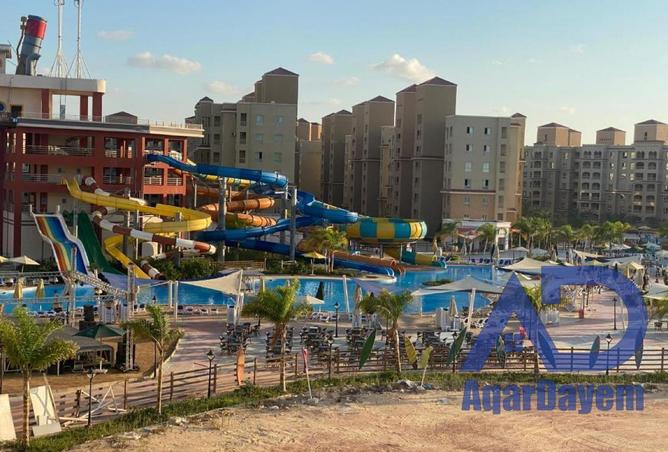 55511857 - صورة العقار 3