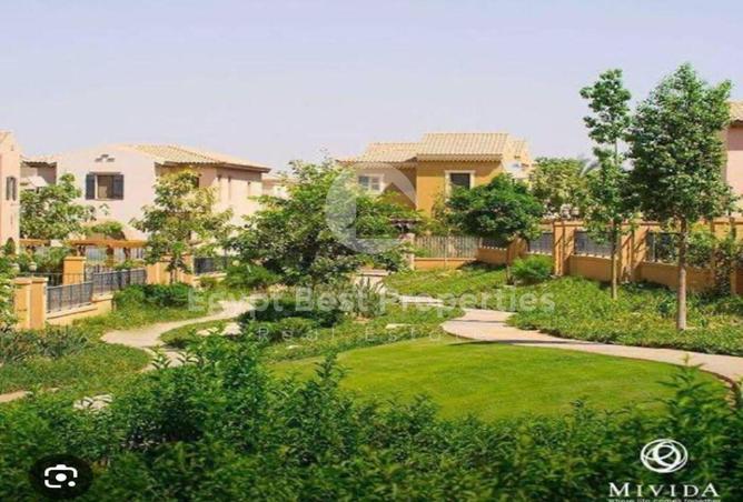 53729294 - Property Image 3