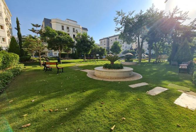 71126167 - صورة العقار 3