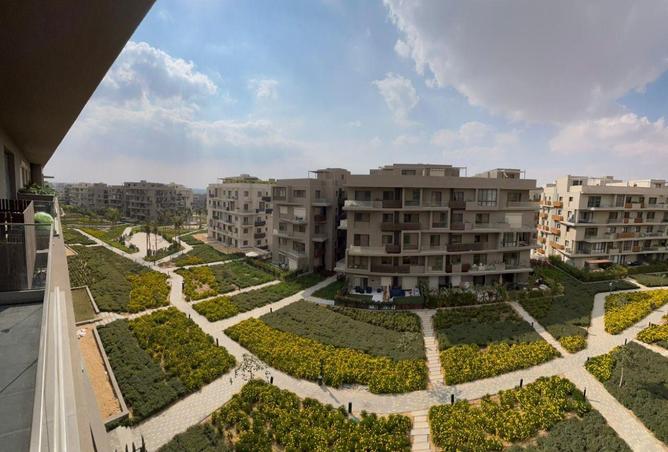 66962787 - صورة العقار 3