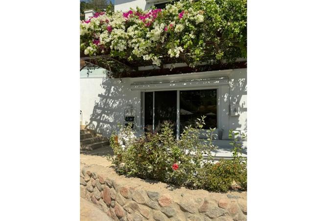 108240473 - Property Image 3