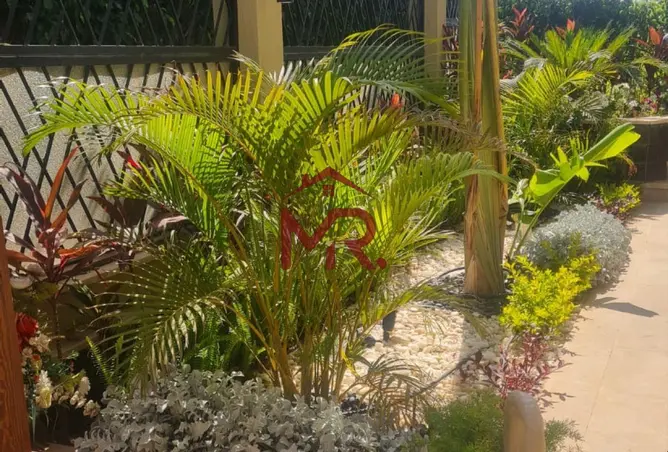 110470998 - صورة العقار 2