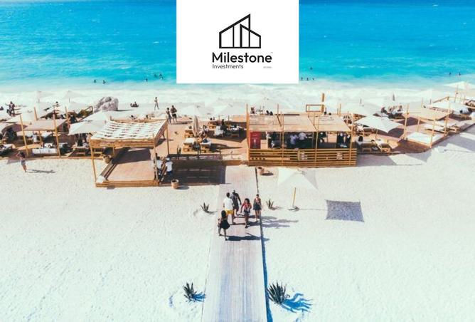 59753336 - Property Image 3