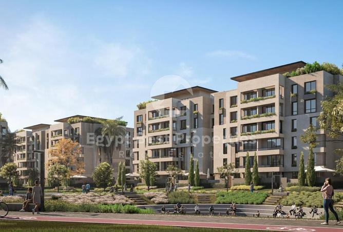 68536213 - Property Image 3