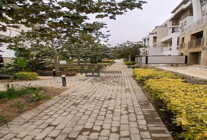 81580966 - Property Image 3