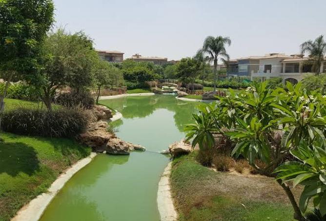 55512659 - Property Image 2