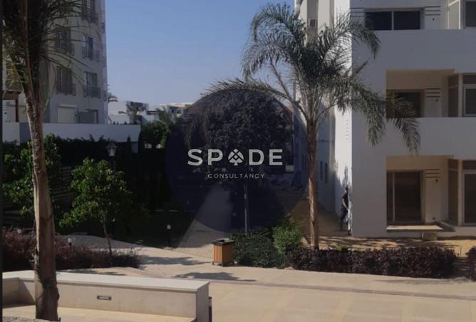 8686986 - صورة العقار 3