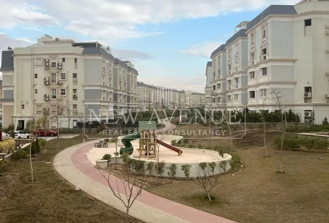 112979927 - Property Image 3