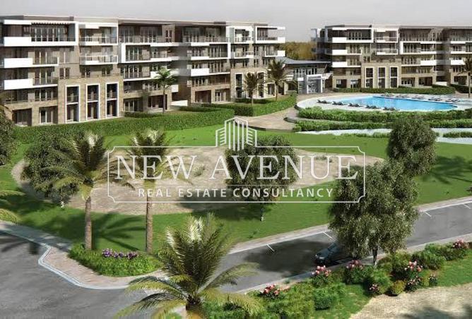 58243315 - Property Image 3