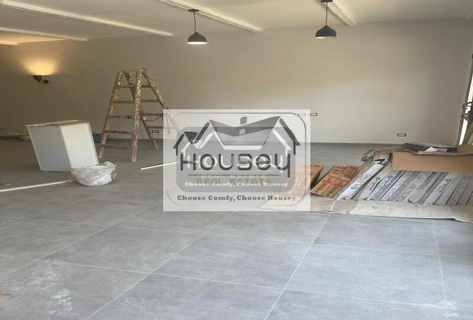 63381515 - Property Image 3