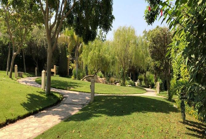 65149005 - Property Image 2