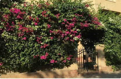 فيلا - 6 غرف نوم - 5 حمامات للايجار في القطامية هايتس - كمبوندات القطامية - القطامية - مدينة القاهرة الجديدة - القاهرة