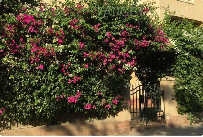 8578570 - Property Image 3