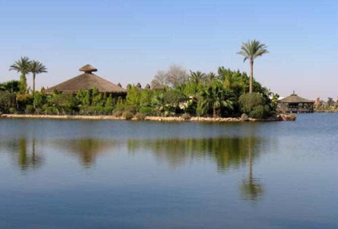 56498209 - Property Image 3